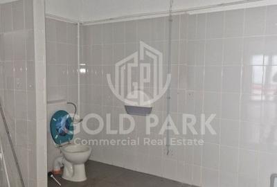 Spatiu Comercial - Marasti - Vitrina la Strada - 441 mp - 15
