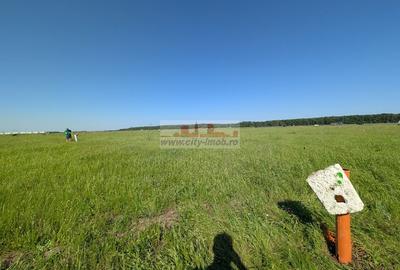 Vanzare Teren Constructii 1000 mp in Pipera Voluntari, - 5