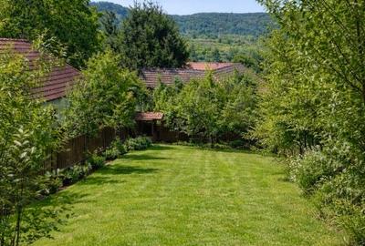 Teren intravilan panoramic de vânzare – Buzad, Timis - 1