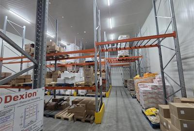 Inchiriere depozit frigorific congelare/hala/spatiu industrial Otopeni - Centura - 24