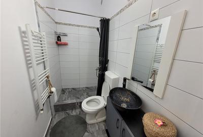 Apartament 1 camera , zona centrala , renovat , Targu Mures - 8
