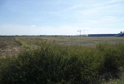 Vand teren in Timisoara, soseaua de centura - 1