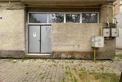 Spatiu comercial Nicolina Clopotari, zona Profi, 160mp - 10
