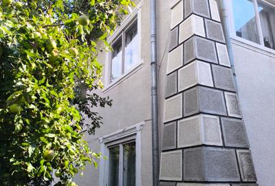 Casa spatioasa 8 camere+cladire auxiliara pretabil locuinta sau afacere+magazin - 9