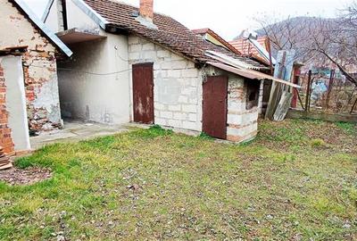 Casa individuala de vanzare in Berzasca, jud. Caras-Severin - 32