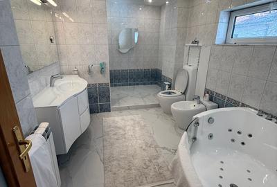 Apartament + Mansardă + Subsol în vilă – Dorobanți - 17