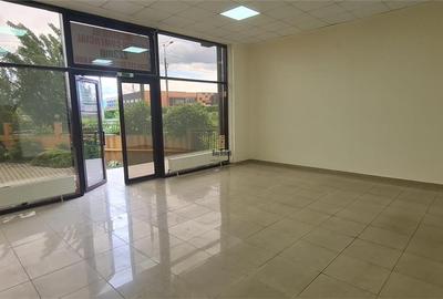 Spatiu comercial - 133mp - Turnisor - 11