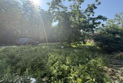 Casă renovanila lângă pădure 91 mp + teren 500 mp cu toate utilitățile - 19