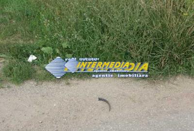 Teren de vanzare in Oarda, zona Ses la sosea 2000 mp - 2