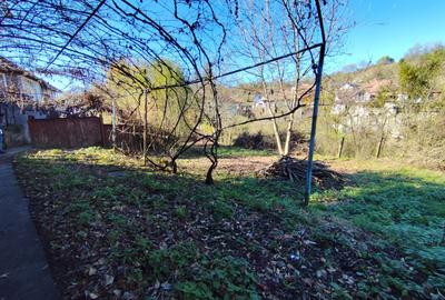 Casa Individuală 3 camere| 769 mp teren| zona Blaj - 10