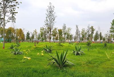 Studio modern, ansamblu eficient energetic,Parc Tudor Arghezi,Sector 4 - 21