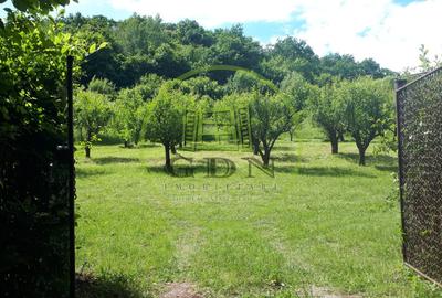 Teren extravilan  de vânzare | 4288 mp | în Gusterița - 1
