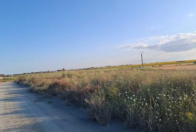 Corbu-faleza-loturi de 515mp - 5