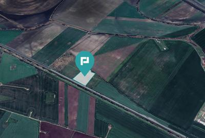 Teren 22.500 mp – Pecica, jud. Arad - 11