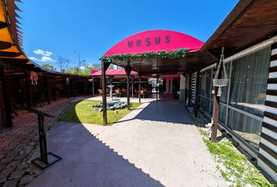 Oportunitate rară în Bacău – Restaurant cunoscut “Vila Borgheze” - 8