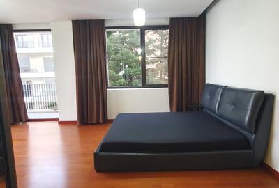 Inchiriere Apartament 3 Camere Spatios Iancu Nicolae - 12