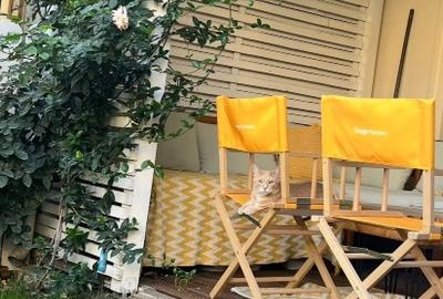 VANZARE VILA COSMOPOLIS 3 camere | 80 mp Utili si 50 mp Terasa & Gradina - 12