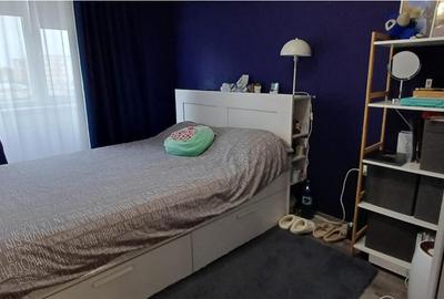 Apartament cochet cu 2 camere Tractoru - 14
