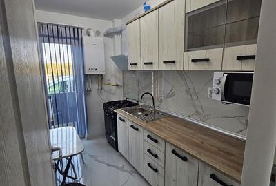 Apartament 1 camera-Lunca Cetatuii-Comision 0 - 6