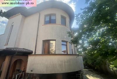 Vila interbelică D+P+E+M, 430 mp(9 camere, 6 bai,3 bucatarii) central - 12