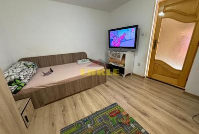 De vanzare casa in Hudum, teren generos. - 7