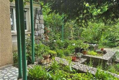 INVESTITIE CIARDA ROSIE- CASA INDIVIDUALA  - TEREN GENEROS - ZONA EXCELENTA - 2