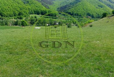 Teren agricol extravilan de 1704 mp, în Gura Râului