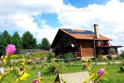 RATE Pensiune Superba*** 12 cam malul Lac Mocearu piscina - 5