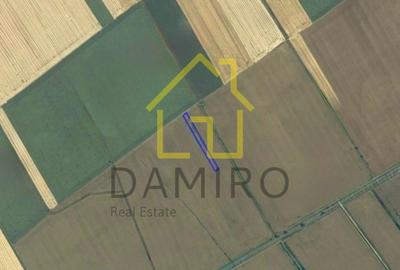 Teren Intravilan 5000 mp Buftea Tamasi - 1