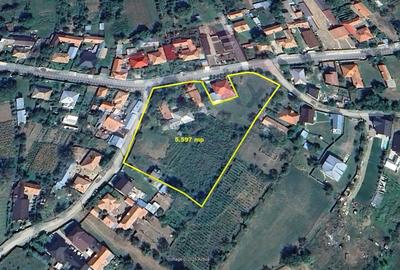 Teren Construcții intravilan de 5597 mp, în Poduri