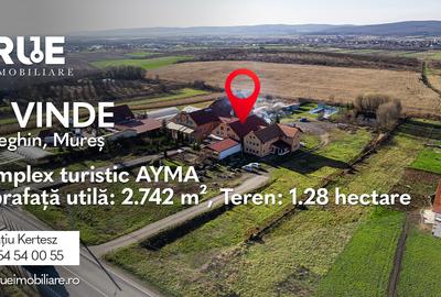 Complex Turistic AYMA – Reghin - De vânzare - 1