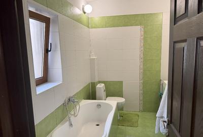 Vand/schimb -Apartament duplex, 109 mp, terasa, magazie , gradina - Tineretului - 8