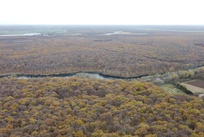 REL4001127 Teren situat langa Padure l Balta Neagra - 1