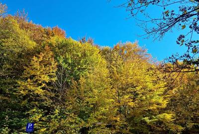Garsoniera renovata in zona linistita Racadau - 16