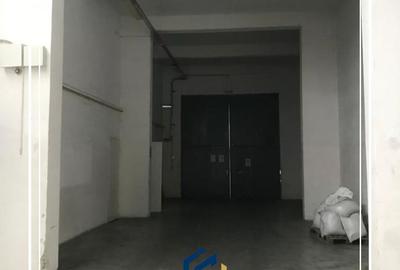 Hala de Inchiriat, comercial , industrial, logistica, Uta, Arad - 6