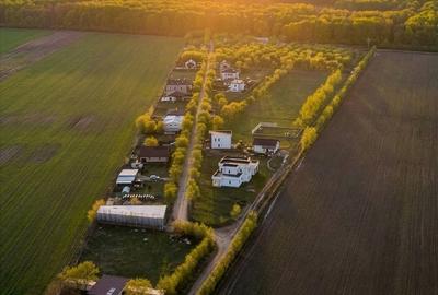 Loturi constructie intre 80-95 Euro/mp - Afumati, Strada Padurii - 1