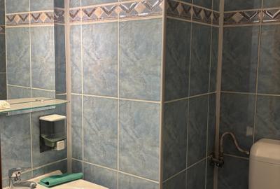 Locatie exceptionala in inima capitalei,stradal pe Bd. DECEBAL imobil monolit - 7