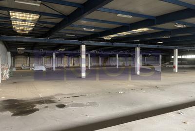 HALA | DEPOZIT - OTOPENI CENTURA  |  20.0000 MP - 21