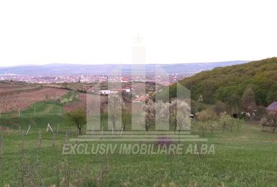 Teren Construcții intravilan de 1808 mp, în Cetate