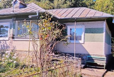 Casa batraneasca Poiana Campina - 1