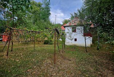 CASA BATRANEASCA DE VANZARE ALUNIS cu teren 2036mp