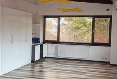 INCHIRIERE VILA PENTRU BIROURI UNIRII | P+2 | ZONA CENTRALA - 12