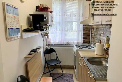 Apartament 1 camera,renovat,parter ,balcon,loc parcare,sp.depozitare,zona Al.28 - 4