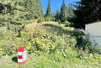 Teren Intravilan Predeal - Acces direct DN - Priveliste deosebita - 36