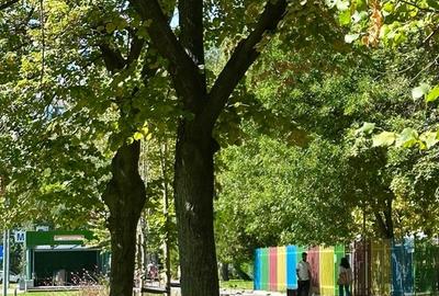 Drumul Taberei, Romancierilor langa statia de Metrou, Proaspat Renovat - 11