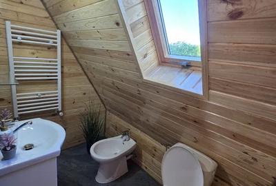 Cabană A-Frame – Valea Ierii, jud. Cluj | 145 mp utili | 1000 mp teren - 6