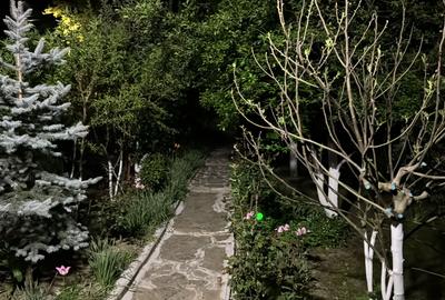 Inchiriem cabana in Calimanesti (Seaca), cu ponton la Olt, gradina - 4