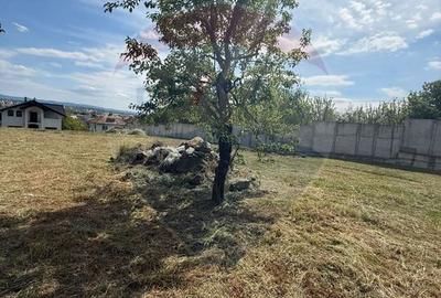 Teren exclusivist cu priveliste de vanzare in Baia Mare - 13