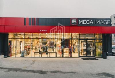 Inchiriere Spatiu Comercial - Oradea -  460 mp/Box Individual - 10