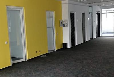 Lacul Tei strada Vidin suprafata 195 mp, cladire birouri - 1